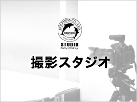 ドルフィンズスタジオ